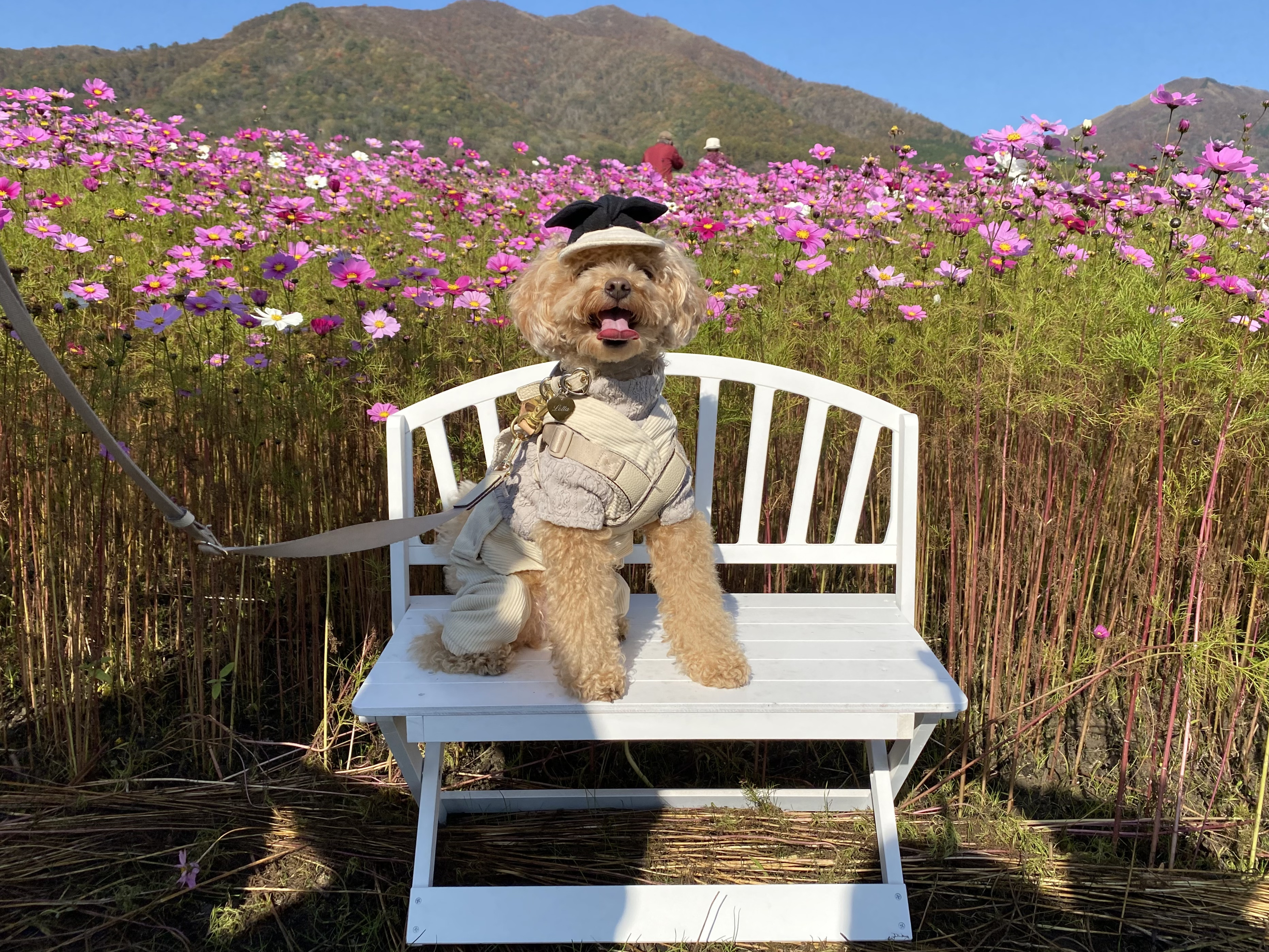 キャップ&オーバーオール